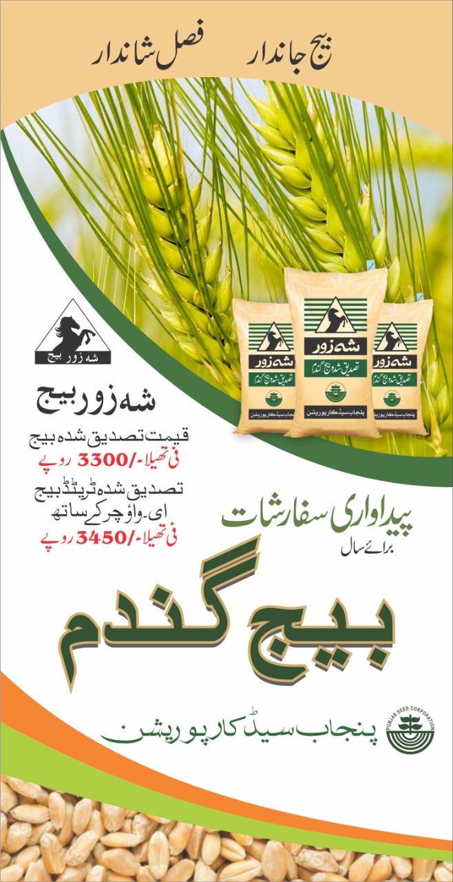 Punjab Seed Corporation Shah Zor Wheat Seed (بیج گندم) Poster